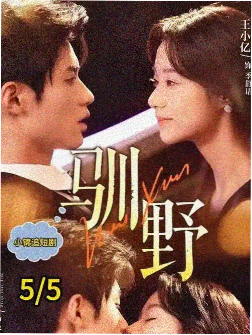 白噪音漫画封面